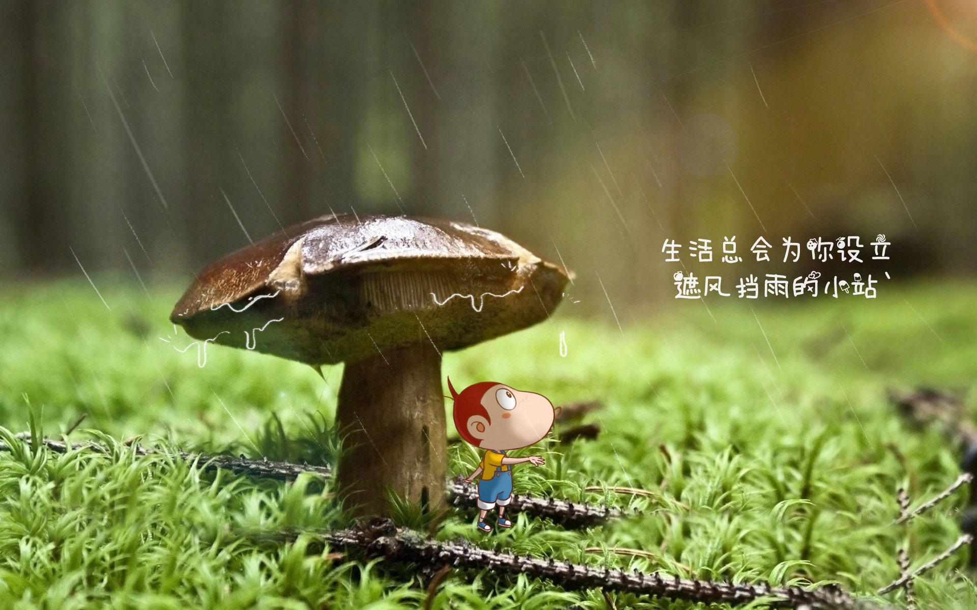JIU YOU GAME-LPL夏季赛冠军争夺激烈，英雄联盟lpl夏季赛冠军
