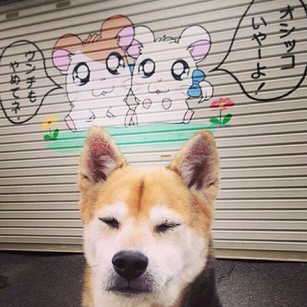 中国女篮打造多点开花进攻格局，中国女篮真棒