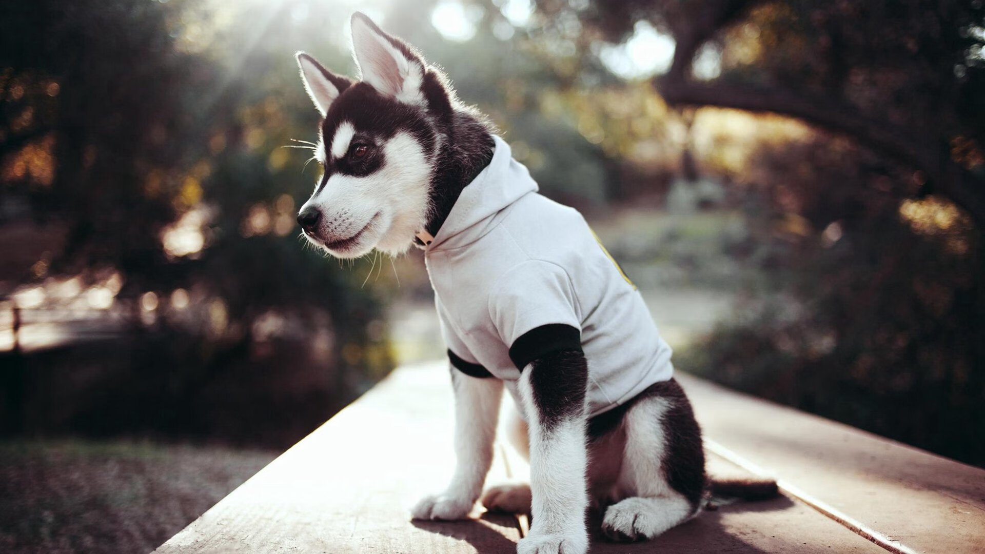 九游官网pc-观众入场流程优化提升整体赛事体验，比赛现场观众注意事项