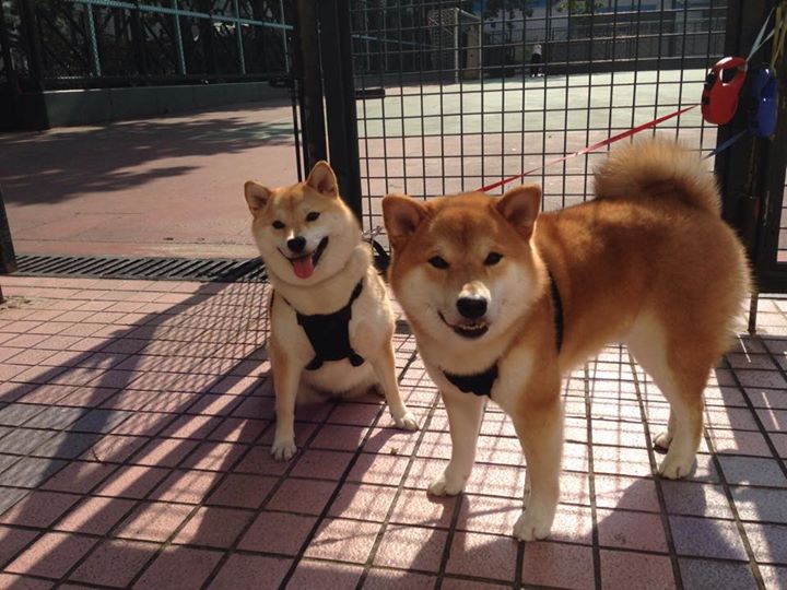 九游娱乐(jiuyou)官方网站-赫罗纳利用快速渗透撕裂防线体系，赫罗纳利用快速渗透撕裂防线体系的原因是