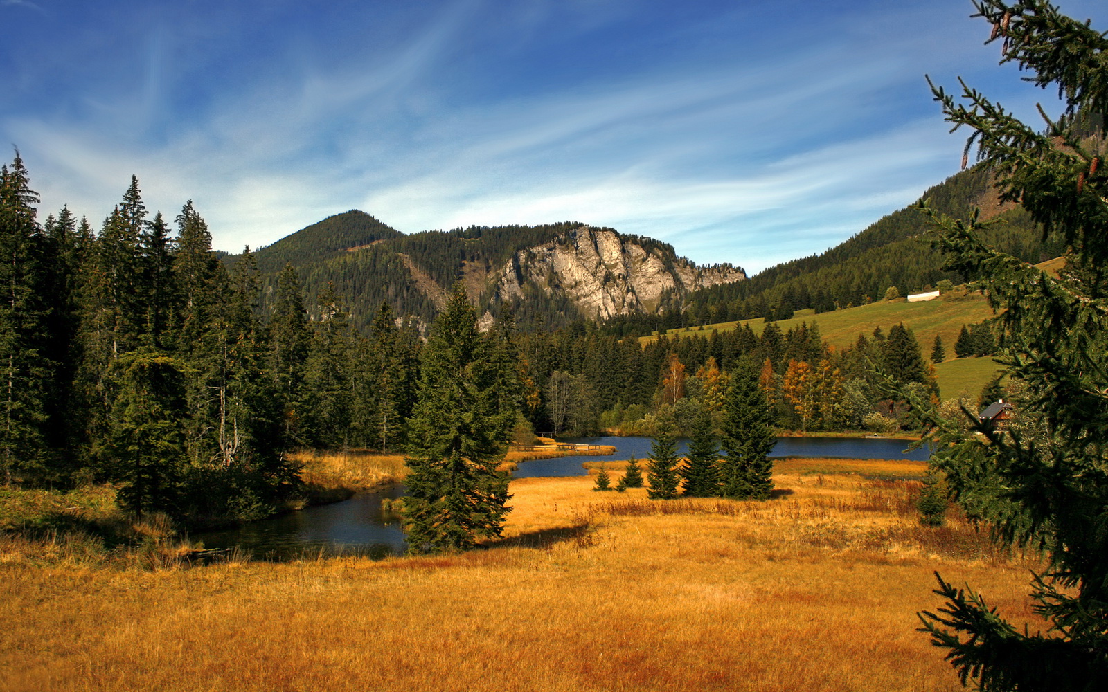 南非羚羊队：以灵活多变的战术打破僵局，每场比赛都充满悬念，羚羊非洲