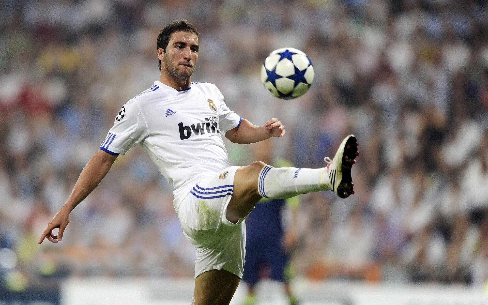 青年大爆发:未来足球领军人物全面展望,青年足球队